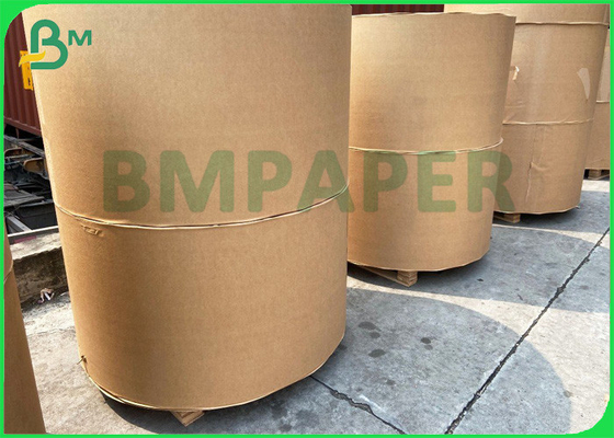 Kraft Top White Containerboard 270gr 300gr Coated Kraft Paper