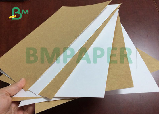 325gsm 31&quot; High Tear Resistance Food Grade White Top Craft Cardboard For Lunch Box