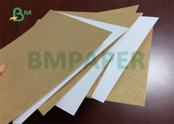 325gsm 31&quot; High Tear Resistance Food Grade White Top Craft Cardboard For Lunch Box