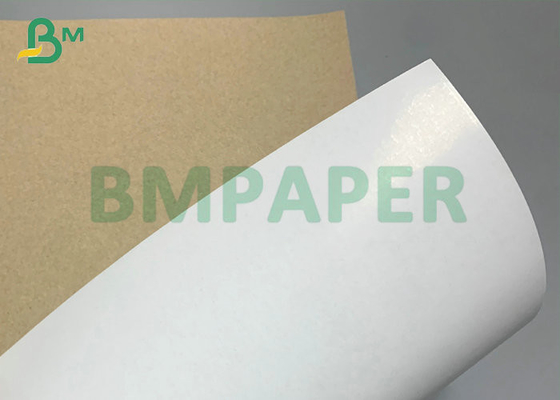 White Top Brown Back Cardboard 300gsm 350gsm For Frozen Food Box