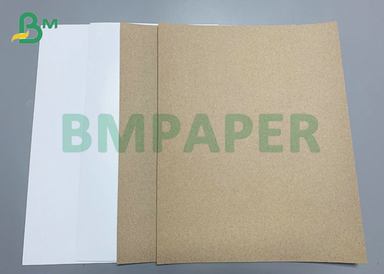 White Top Brown Back Cardboard 300gsm 350gsm For Frozen Food Box