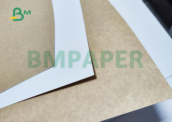 250gsm 270gsm White Coated Kraft Back Paper For Bakery Packaging 68 x 56cm