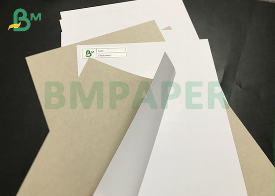 recyclable 230gsm To 1500gsm Claycoat C1S CCNB Duplex Paper Board Grey Back