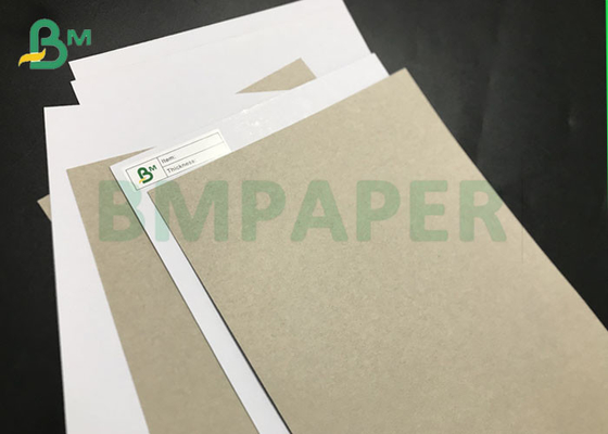 recyclable 230gsm To 1500gsm Claycoat C1S CCNB Duplex Paper Board Grey Back