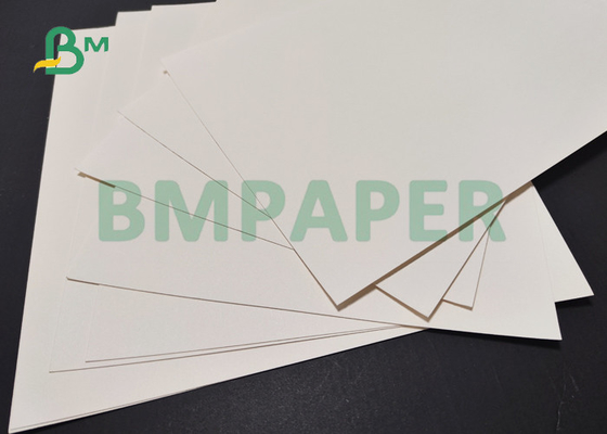 260GSM + 1PE 18GSM Coated Paper For Ice Cream Cup 590mm 790mm Waterproof