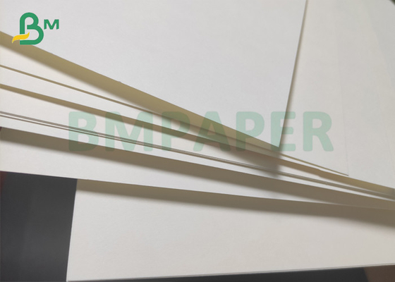 1 PE / 2 PE Coated Cup Stock Paper &amp; Board 280gsm White Cup Paper