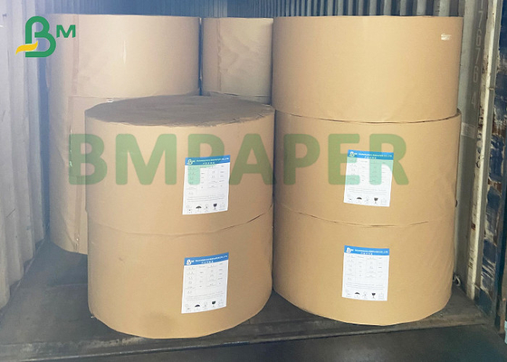 Food Safe 260g 270g P1S P2S Cup Stock Paperboard 36" 35" Rolls