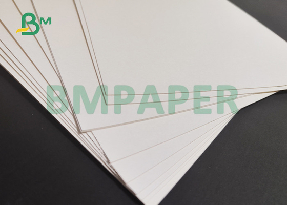 Waterproof 300gsm + 20gPE White Lunch Boxes Paper For Food Industry 20.5''