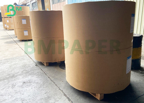 280gsm Coated Top Surface SBS SBB Cardboard Good Printing Properties