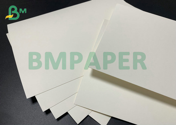 Cup Paper C1S C2S 15g PE Coated Paper 185gsm 210gsm For Paper Cups