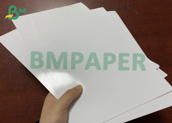 240g Art Photo Paper Glossy InCoated Color Inkjet printing 610mm 914mm Width