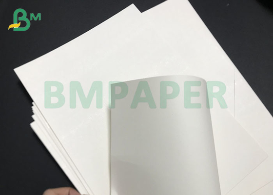 Single Side Laminated 210gsm 250gsm CUPP1S PE Coated Paper Rolls For Drink Cups