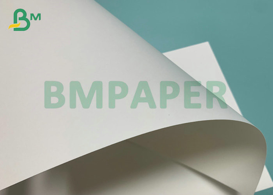 190gsm 210gsm CUPP1S CUPP2S PE Coated Cup Paper For Hot Drink Paper Cup