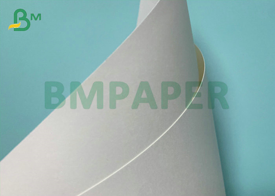 190gsm 210gsm CUPP1S CUPP2S PE Coated Cup Paper For Hot Drink Paper Cup