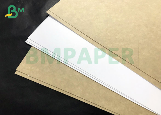 High Bulky Food Grade 250gsm 325gsm White Top Kraft Board 24 * 25&quot; sheets