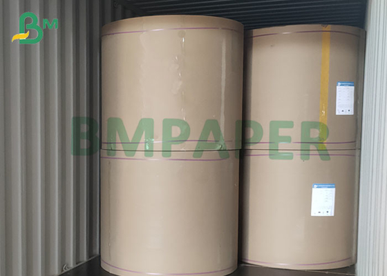 210gsm Cupp1s Paper 1PE Food Safe Cup Board 18PE 20PE 26PE 30PE