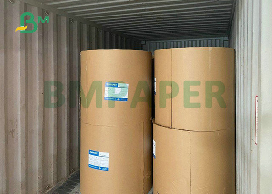 260gsm 280gsm PE Coated White Laminated Cardboard For Normal Paper Cups 886mm 747mm