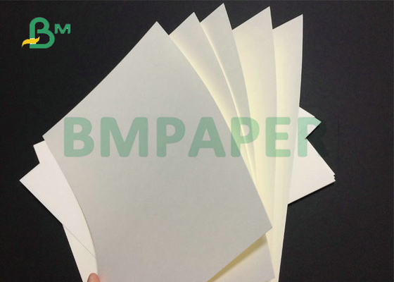 260gsm 280gsm PE Coated White Laminated Cardboard For Normal Paper Cups 886mm 747mm