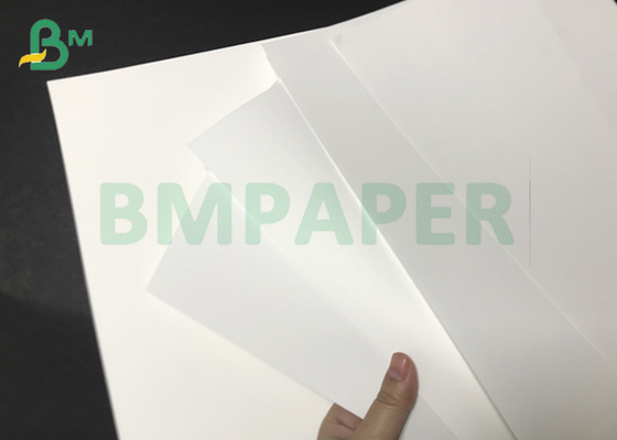 CUPP1S CUPP2S 150gsm To 330gsm Matt PE Coated Bleached Cupstock Paper Roll