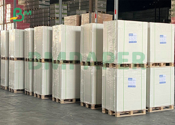 34”35”325gsm 350gsm Coated One Side Foodgrade Cardboard For Hamburger Box Making