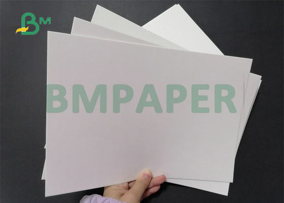 34”35”325gsm 350gsm Coated One Side Foodgrade Cardboard For Hamburger Box Making