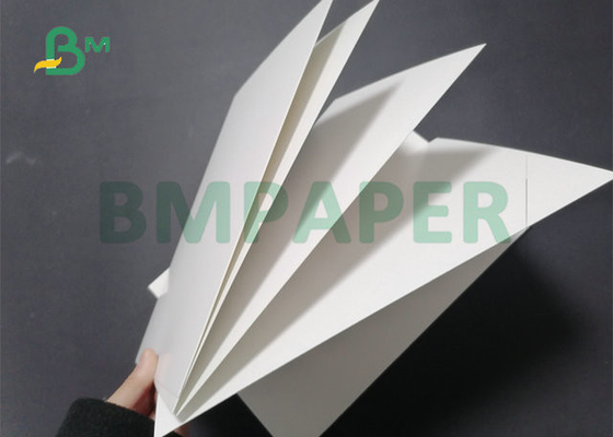 30 x 22.5&quot; 325gsm 350gsm C1S Board White Food Board For Food Box Making