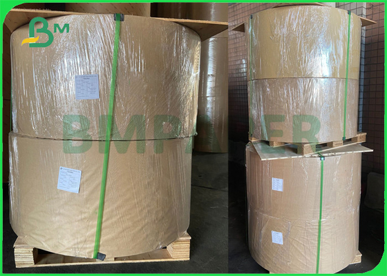 Safe 300gr + 18g PE Coated Paper For Lunch Packages 70cm 90cm Eco - Friendly