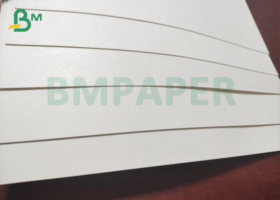 PE Film Coated Cup Paper Material 190gsm + 15gsm Single Side Coating