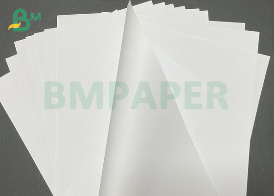 Ink Absorption Uniform Full Colour Woodfree Paper For Various Books