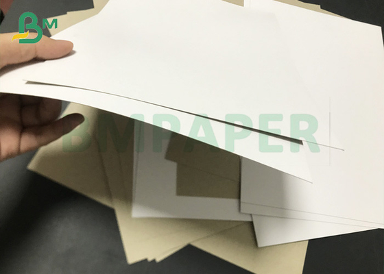 230gsm To 1600gsm GD2 Claycoat Duplex Board Grey Back paper sheets 70 * 100cm