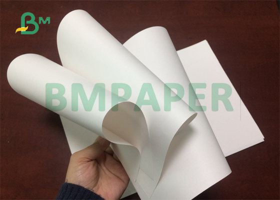 3”Core 100gsm 120gsm Foodgrade White Paper To Produce Water Conic Cups Width 20.5&quot;