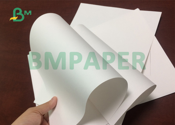 3”Core 100gsm 120gsm Foodgrade White Paper To Produce Water Conic Cups Width 20.5&quot;