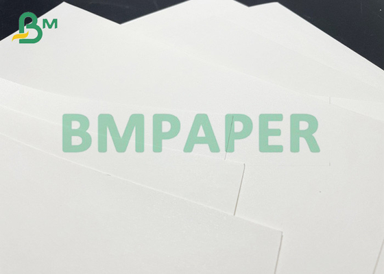 Food Grade Single-side 230g + 15g PE Coated Cup Paper In Roll