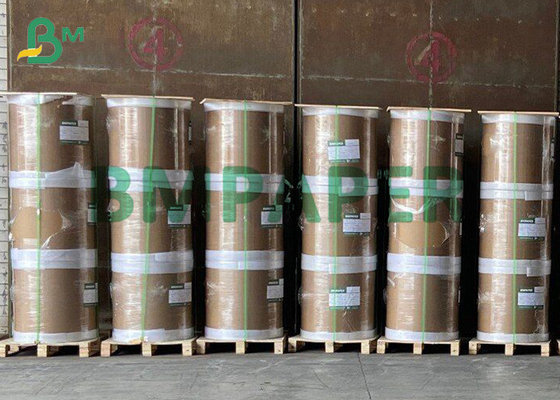 Food Grade Single-side 230g + 15g PE Coated Cup Paper In Roll