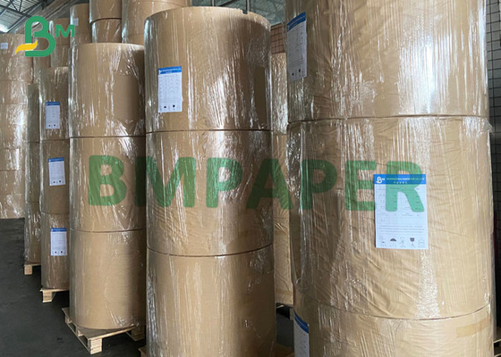 240g 250g Cup Stock Paper P1S And P2S Food Safe PE Coated Cardboard