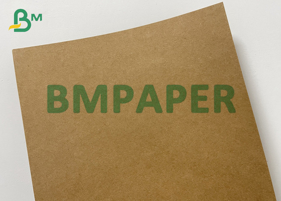 300gsm Oil-proof Single-side PE Coated Kraft Paper For To-go Boxes