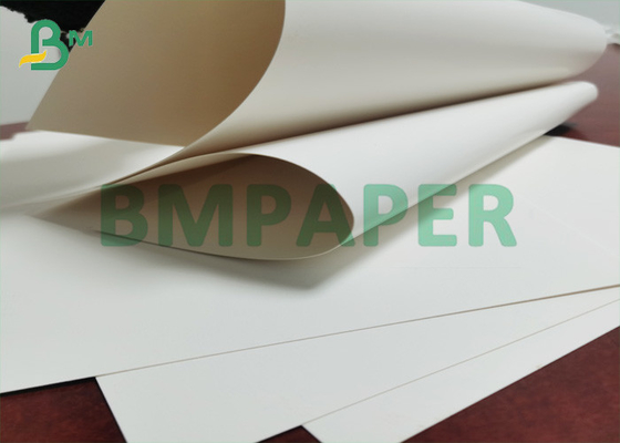 255g Ivory One Side Coated Paper SBS / FBB Solid Board For Printing In Roll