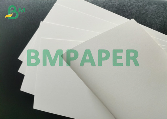 255g Ivory One Side Coated Paper SBS / FBB Solid Board For Printing In Roll