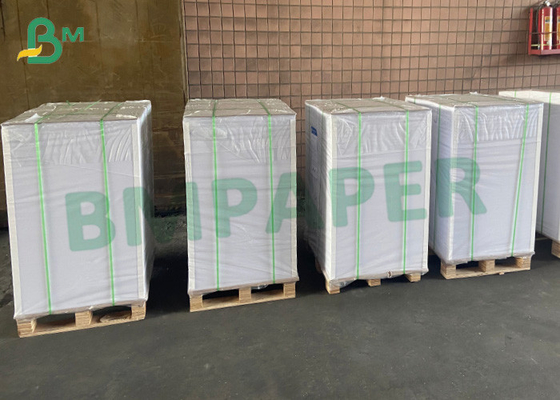 White PE Coated Cup Paper 190gsm PE 15g Cup Paper Raw Material