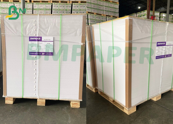 High Quality One Side Coated 16pt SBS Board Roll C1S Paperboard