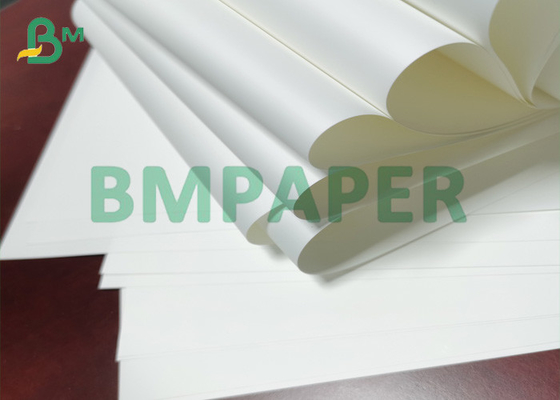 80um Premium Weather - Resistant  PET Synthetic Paper For Posters In Roll