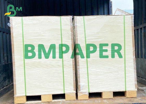 400 x 550mm Food Grade Absorbent Paper For Blotting Applications