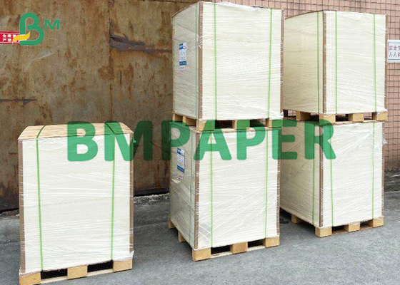 400 x 550mm Food Grade Absorbent Paper For Blotting Applications