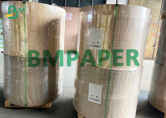 455 x 650mm Woodfree Printing Paper Roll For Advertising Material