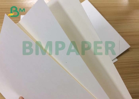 810mm 900mm Foodgrade Safety 240gsm + 15gPE CupStock Paper For Coffee Cups