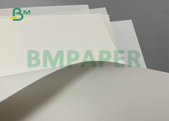 Waterproof Stone Paper 240g 300g For Making Fruit Protection Bag