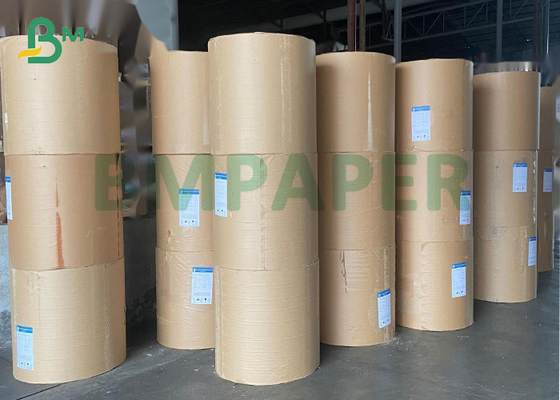 One Side Coated Glossy Solid  And Stiff   Ivory Paper For Art