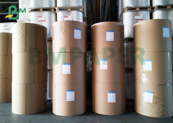 One Side Coated White Clay Stiffness FBB For Product Packing