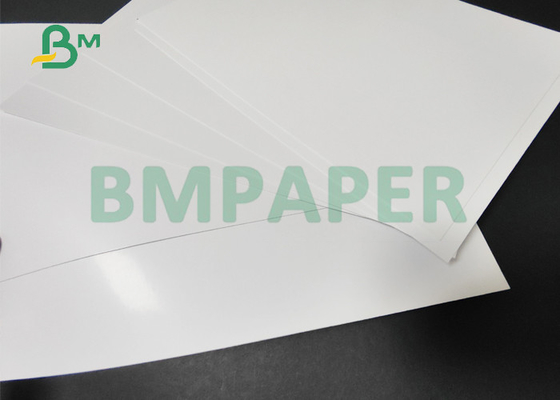 10pt 12pt White Coated C2S Cover For Commercial Printing 25 x 38inch