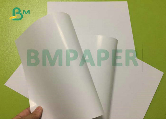 12PT 14PT 16PT High Glossy White Coated C2S Cover Sheet For Offset Printing 24 x 36inch